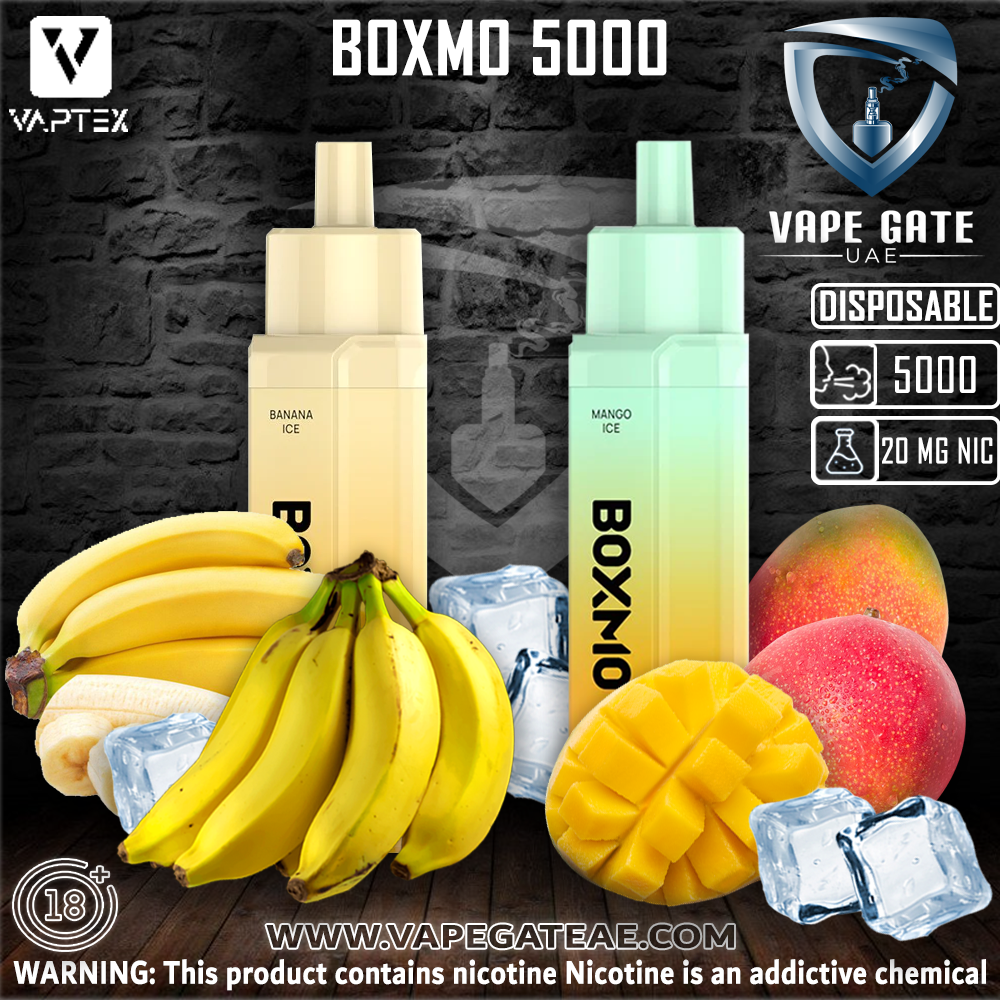 BOXMO 5000 PUFFS DISPOSABLE VAPE (650MAH)