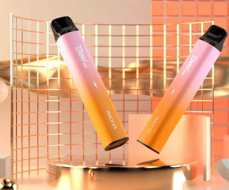 Bou Blink Disposable Vape (S3000 Puffs)