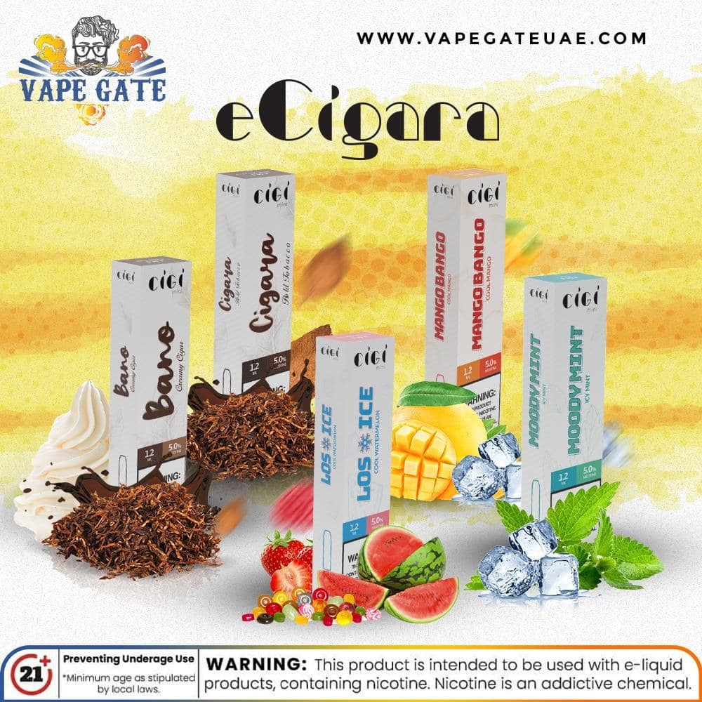 ECIGARA CIGI MINI DISPOSABLE POD SYSTEM