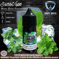 FROZEN MINTY BREEZ SALT NIC - SAMS VAPES
