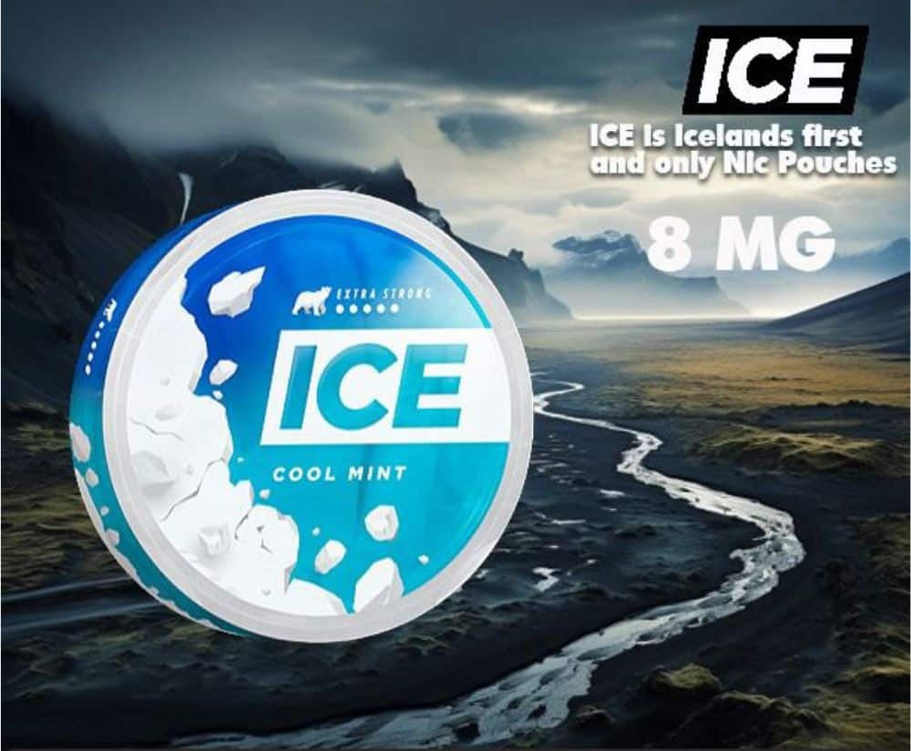 ICE NICOTINE POUCHES