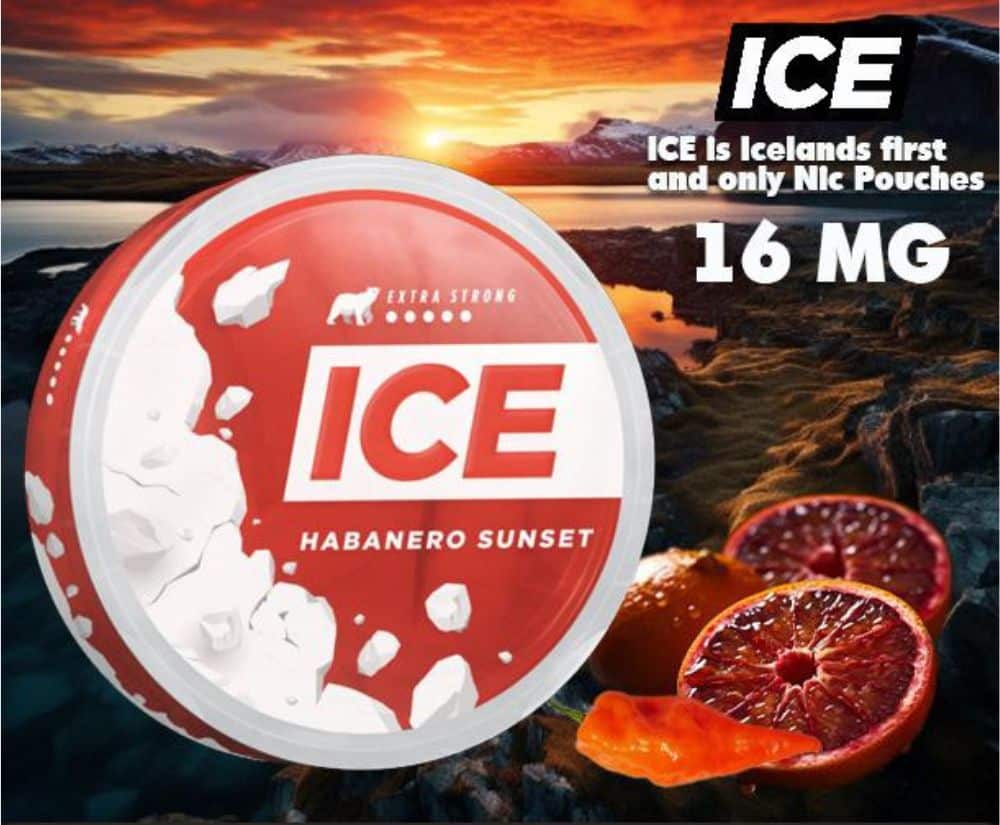 ICE NICOTINE POUCHES