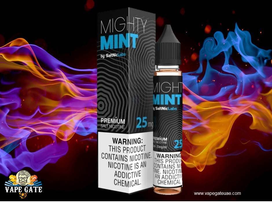 VGOD Mighty Mint Salt Nic - 30ml