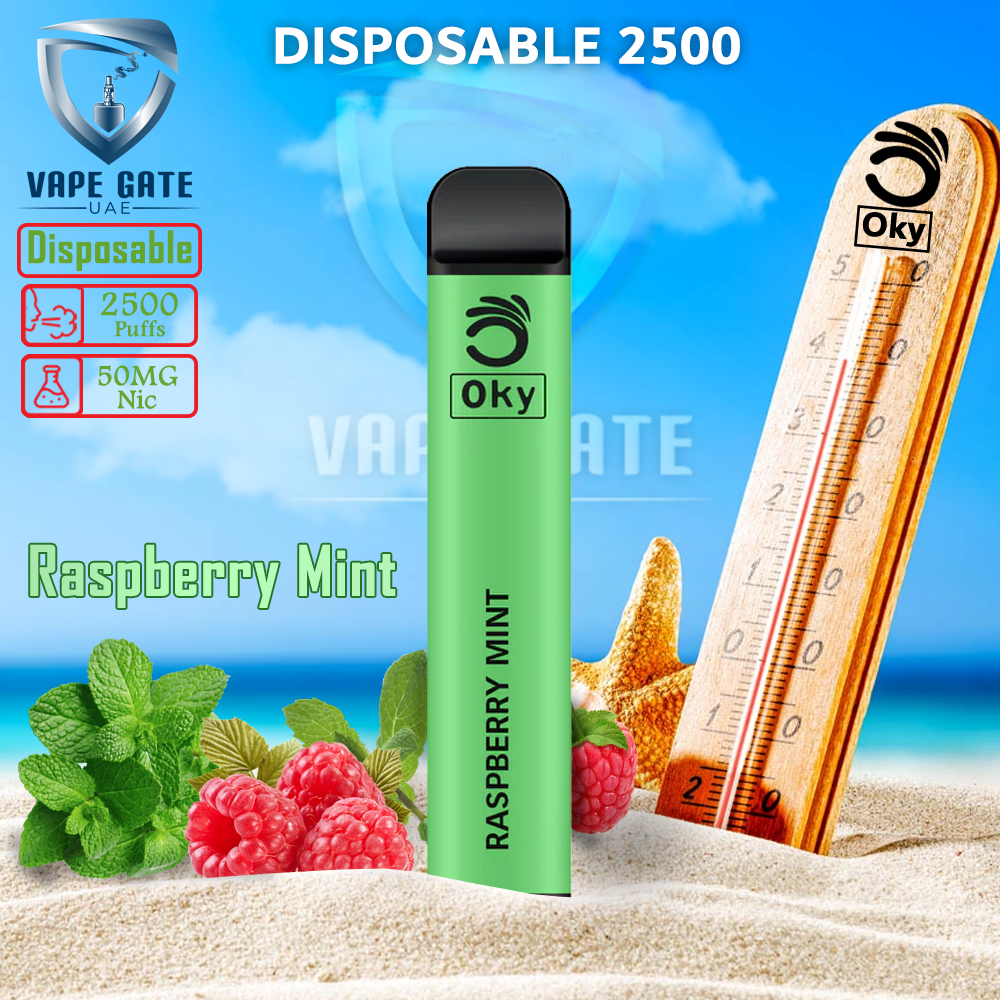 OKY DISPOSABLE VAPE PEN 2500 PUFFS 1200MAH