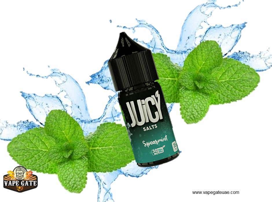 Spearmint - Juicy Salt