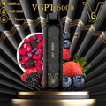VGPT DISPOSABLE VAPE (6000 Puffs)