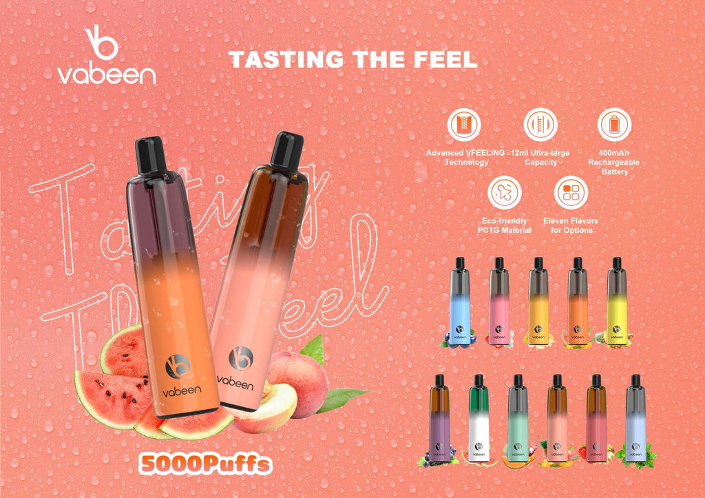 VABEEN PLUM 5000 PUFFS DISPOSABLE VAPE PEN