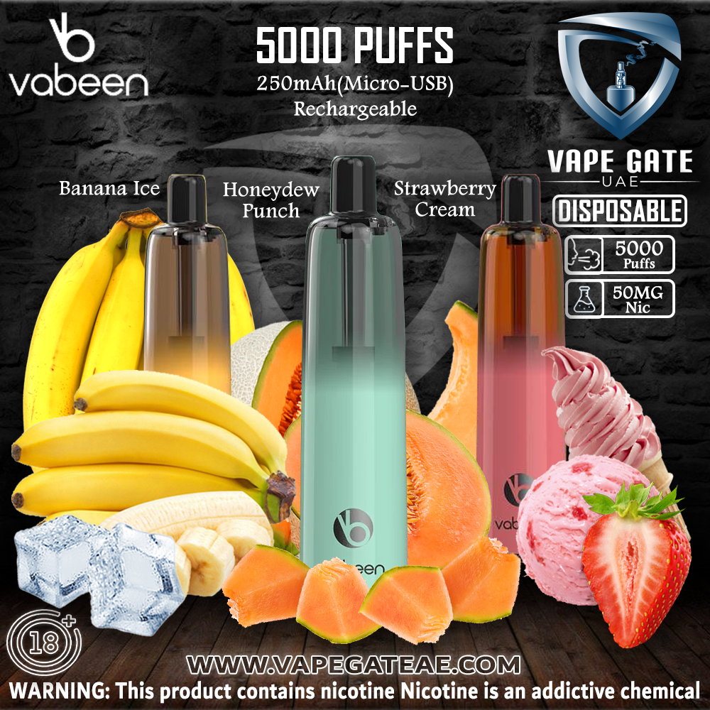 VABEEN PLUM 5000 PUFFS DISPOSABLE VAPE PEN