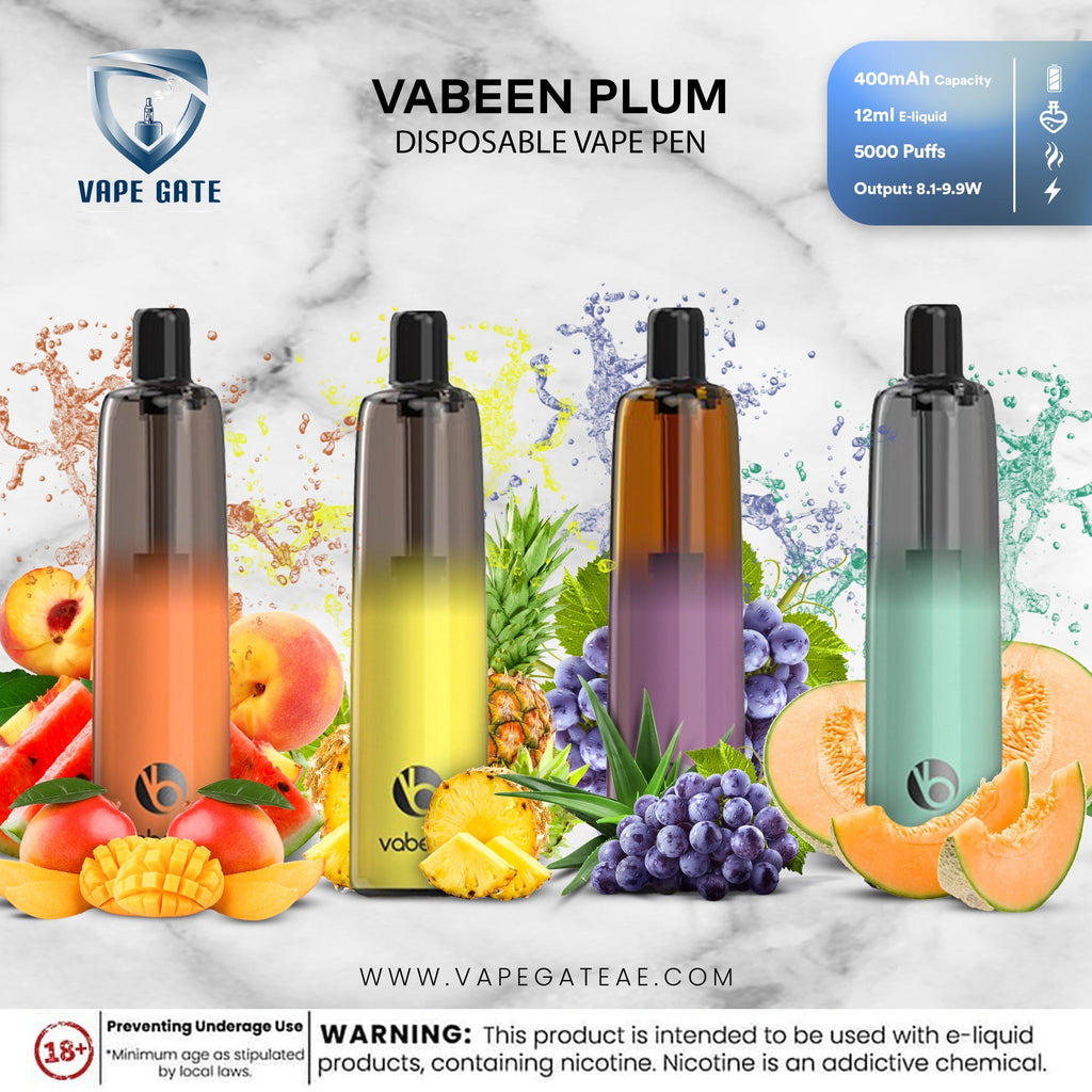 VABEEN PLUM 5000 PUFFS DISPOSABLE VAPE PEN