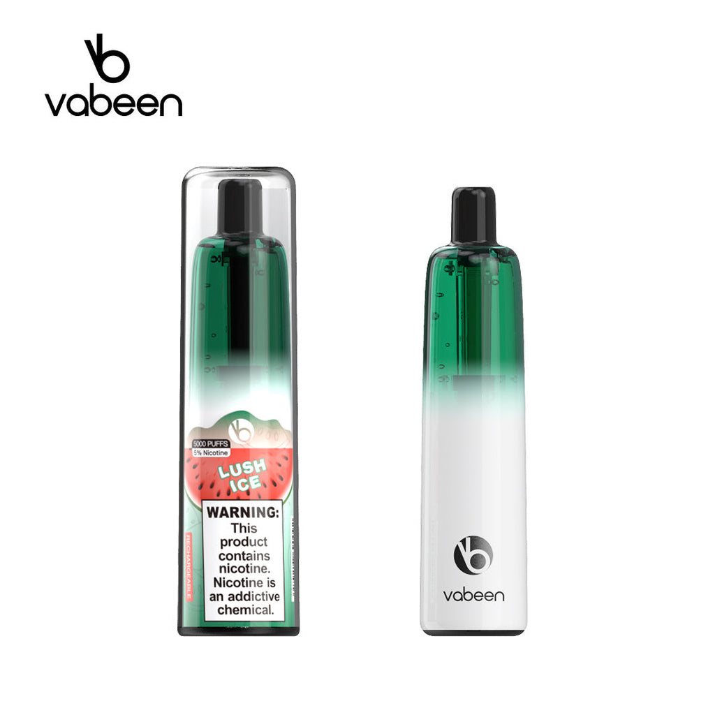 VABEEN PLUM 5000 PUFFS DISPOSABLE VAPE PEN