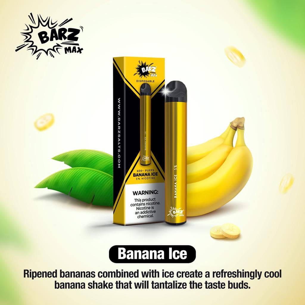 BARZ Disposable (BUY 2 GET 1 FREE) 600 puffs