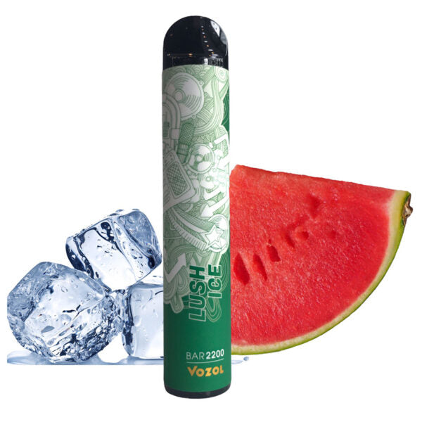 VOZOL Bar 2200 Disposable Kit 1100mAh