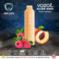 VOZOL ALIEN 4000 Disposable Kit 600mAh