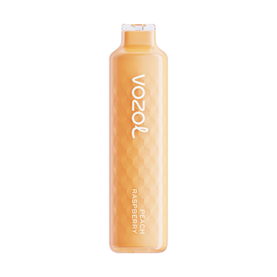 VOZOL ALIEN 4000 Disposable Kit 600mAh