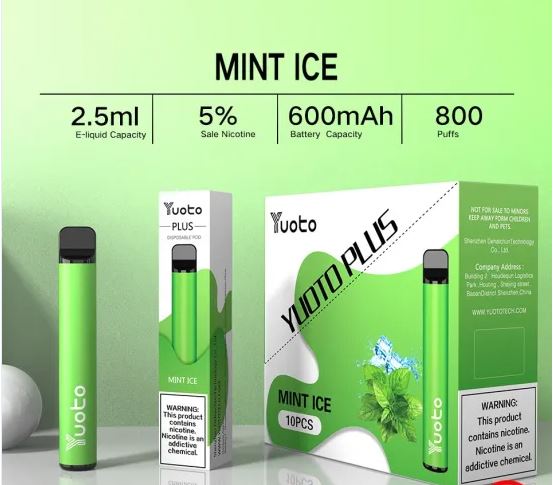 YUOTO PLUS DISPOSABLE VAPE KIT (800 PUFFS-600MAH)