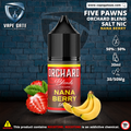 NANA BERRY - ORCHARD BLEND FRUIT SALTNIC BY FIVE PAWNS