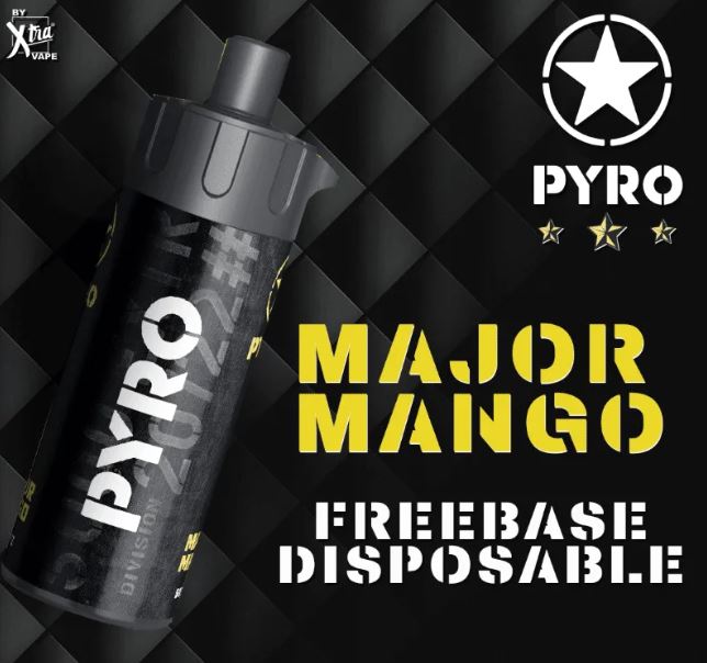 PYRO 12000 PUFFS MTL / DTL DISPOSABLE VAPE