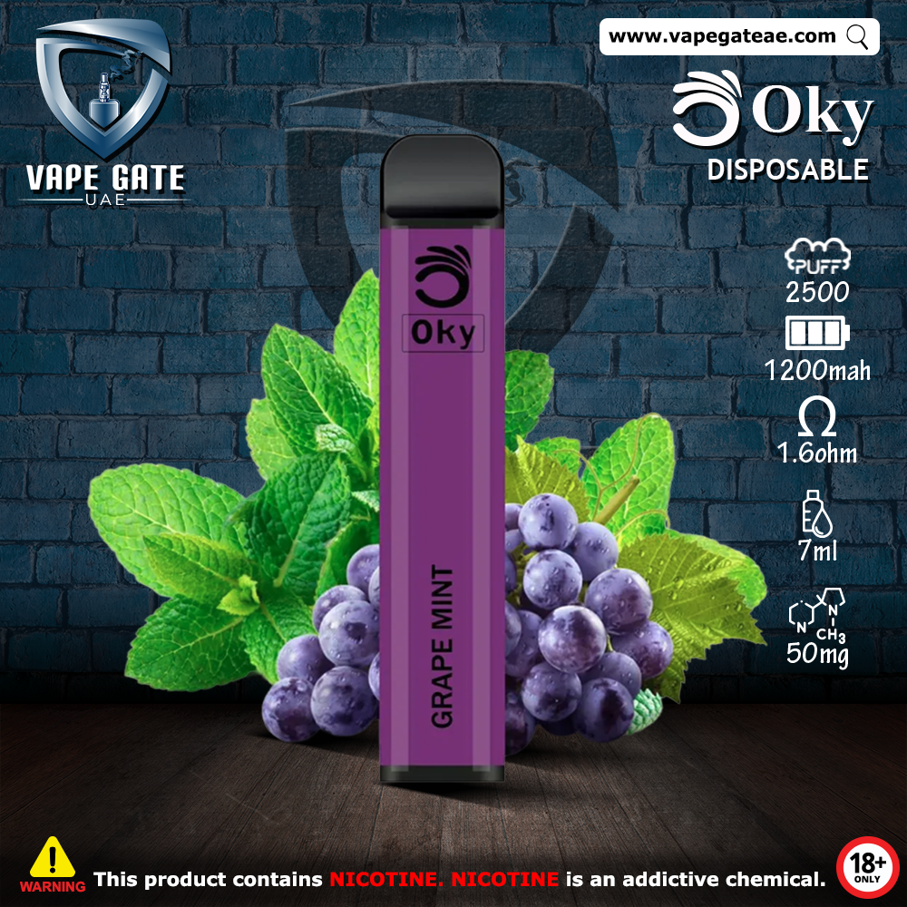 OKY DISPOSABLE VAPE PEN 2500 PUFFS 1200MAH