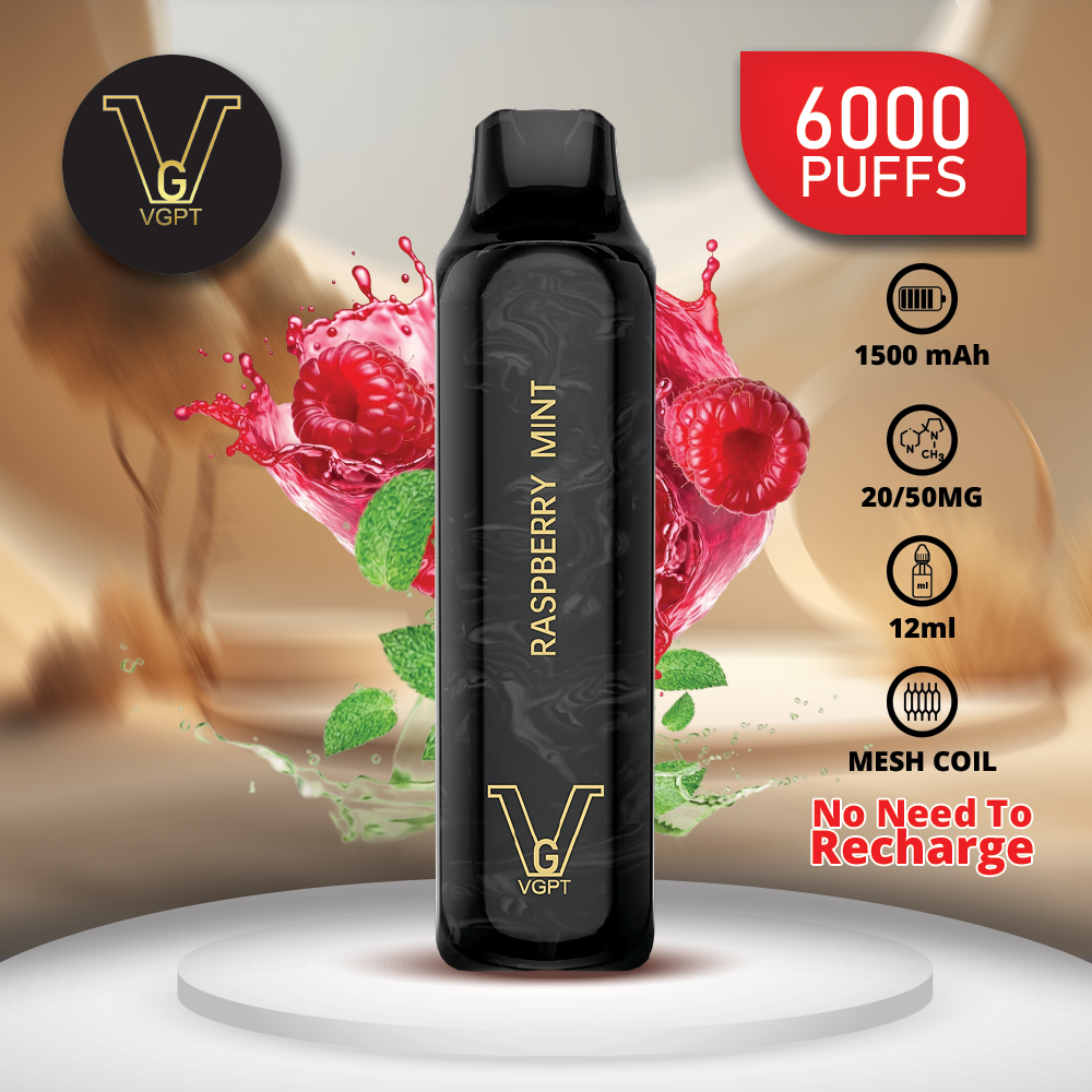 VGPT DISPOSABLE VAPE (6000 Puffs)