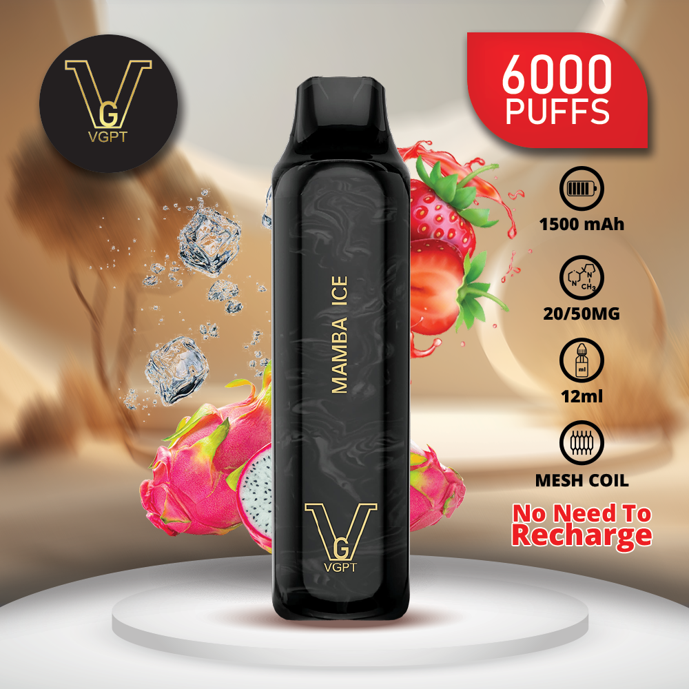 VGPT DISPOSABLE VAPE (6000 Puffs)