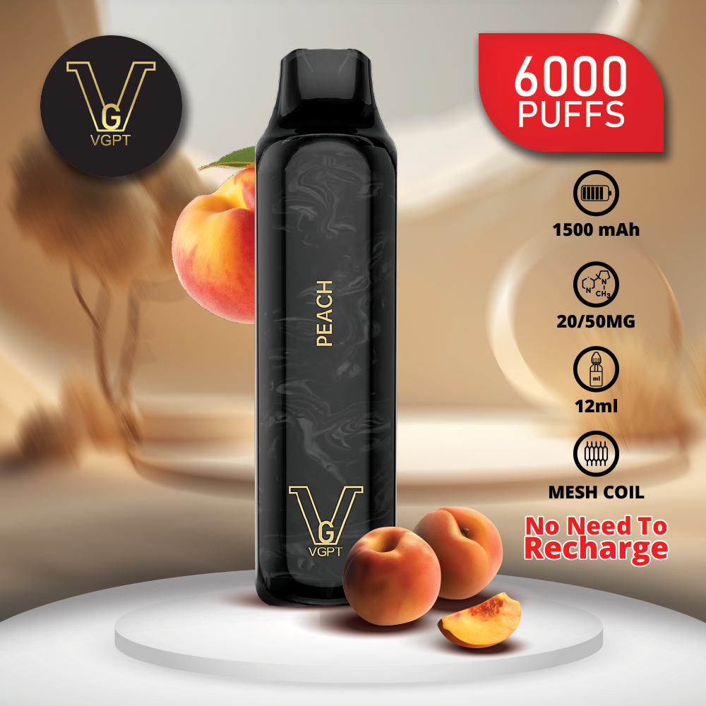 VGPT DISPOSABLE VAPE (6000 Puffs)