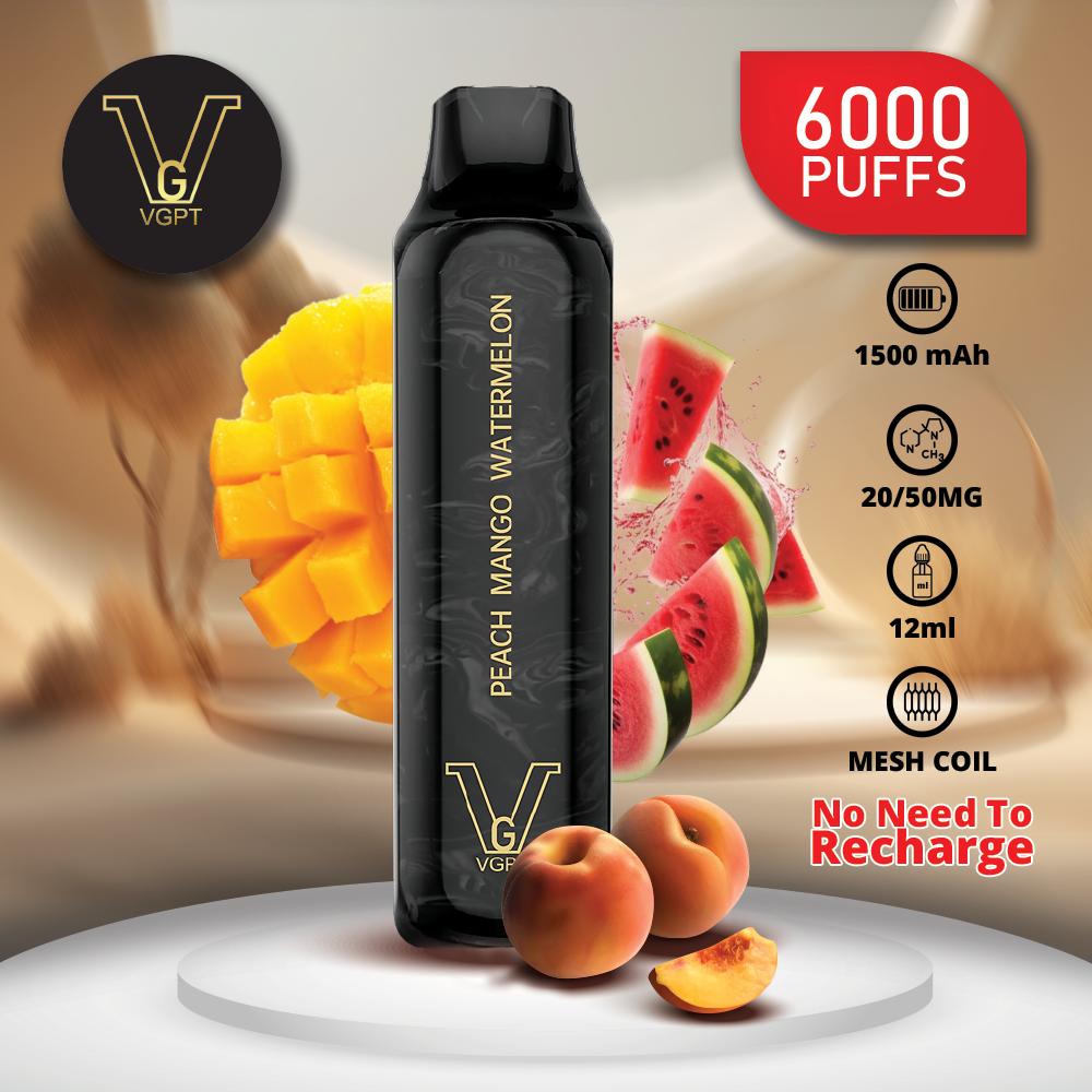 VGPT DISPOSABLE VAPE (6000 Puffs)
