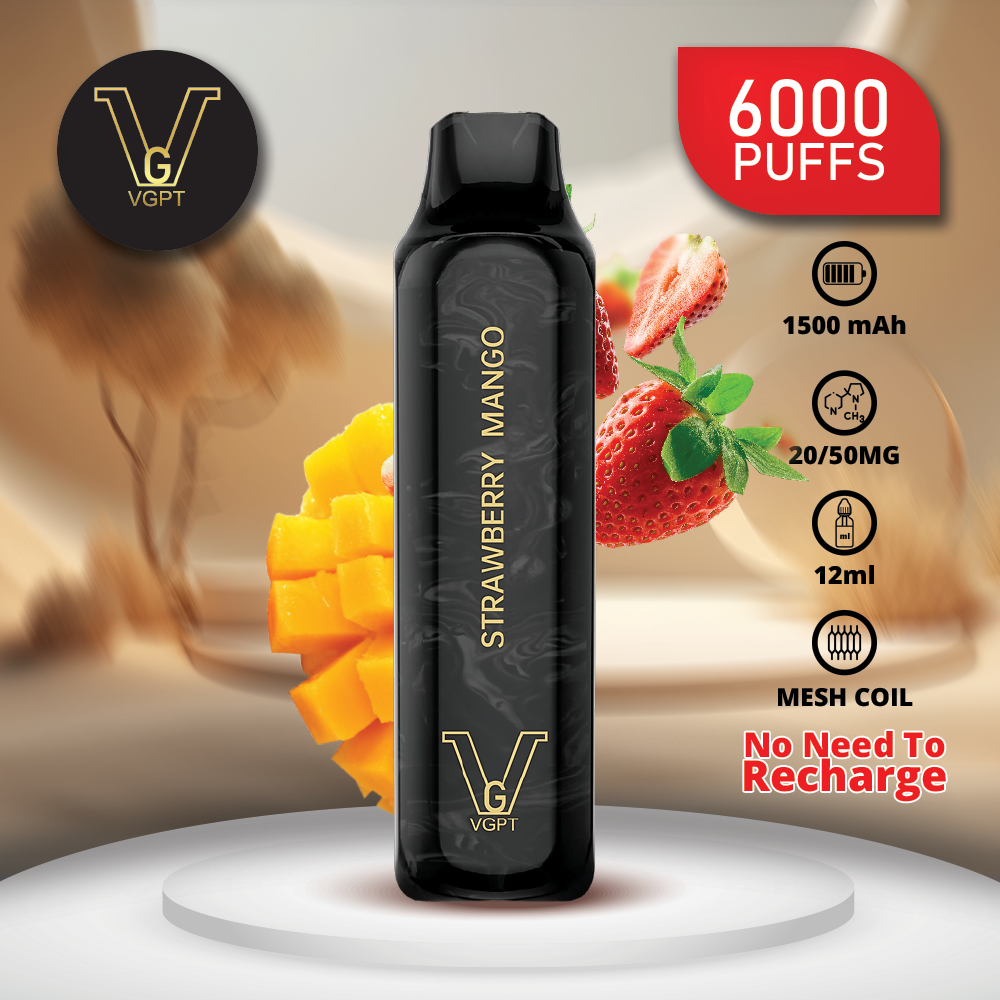 VGPT DISPOSABLE VAPE (6000 Puffs)