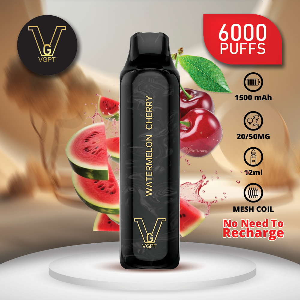 VGPT DISPOSABLE VAPE (6000 Puffs)