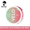 Velo WINTERY WATERMELON MINI