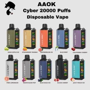AAOK Cyber 20000 Puffs Disposable Vape