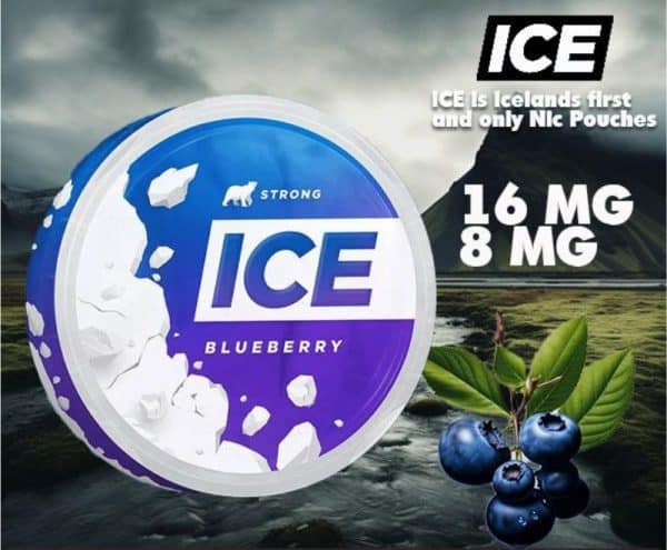 Ice Nicotine Pouches Bluebessy
