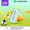 Lost Mary MT15000 TRUBO Baja Splash