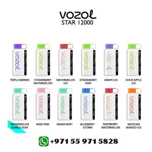 VOZOL STAR 12000 Puffs Disposable Vape in UAE